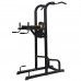 Стойка для подтягиваний DFC Powergym PK020